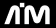 Aim Security
