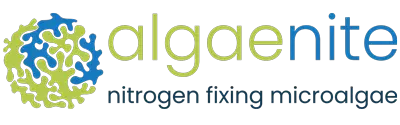 Algaenite