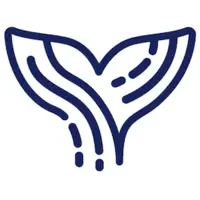 Orca AI