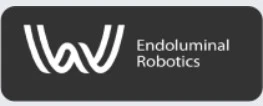 W Endoluminal Robotics