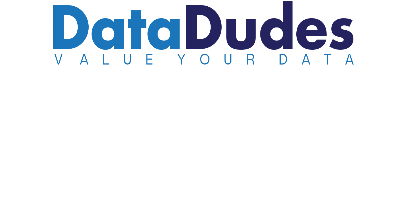 DataDudes