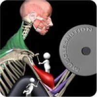 Muscle & Motion