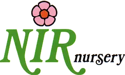 Nir Nursery