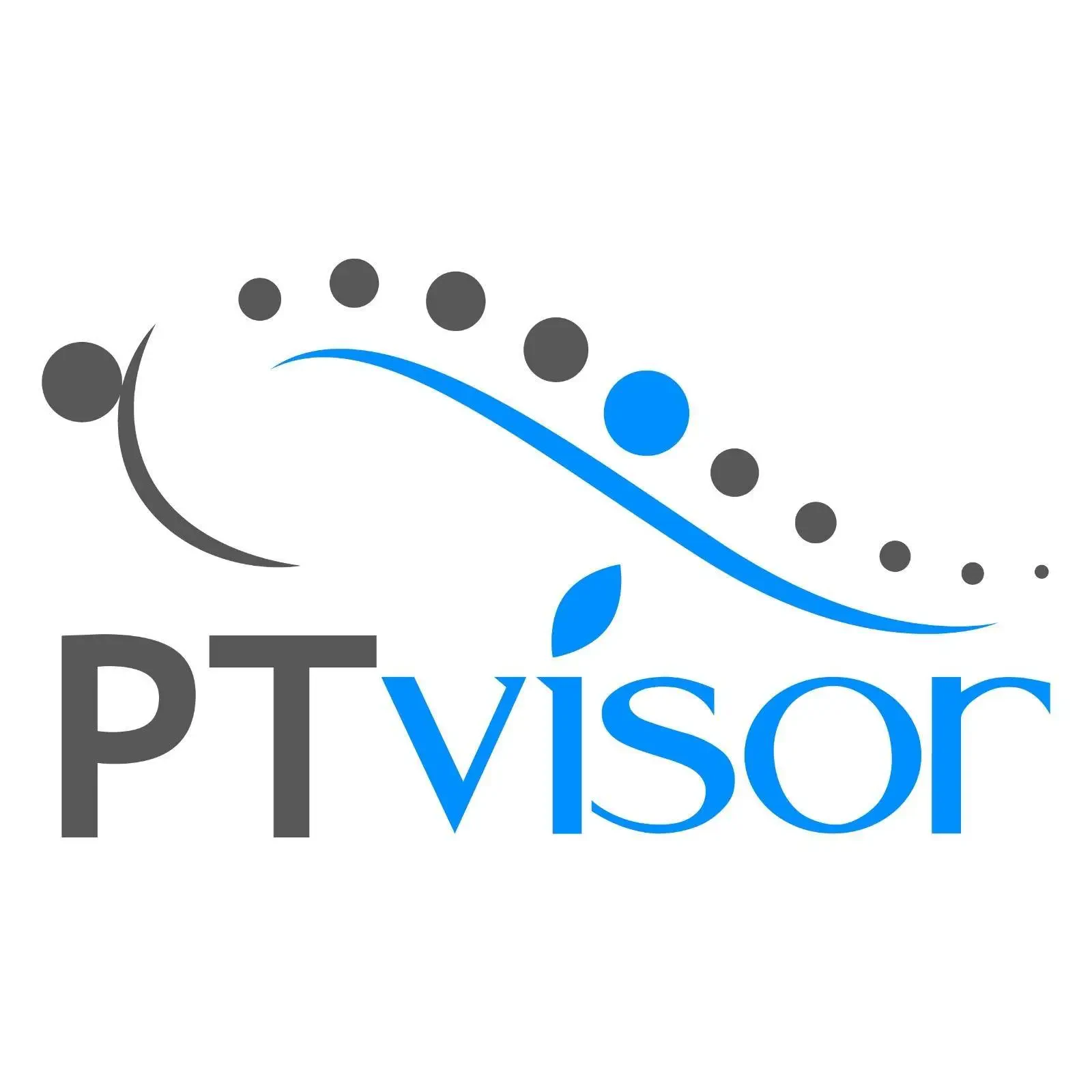 PTvisor