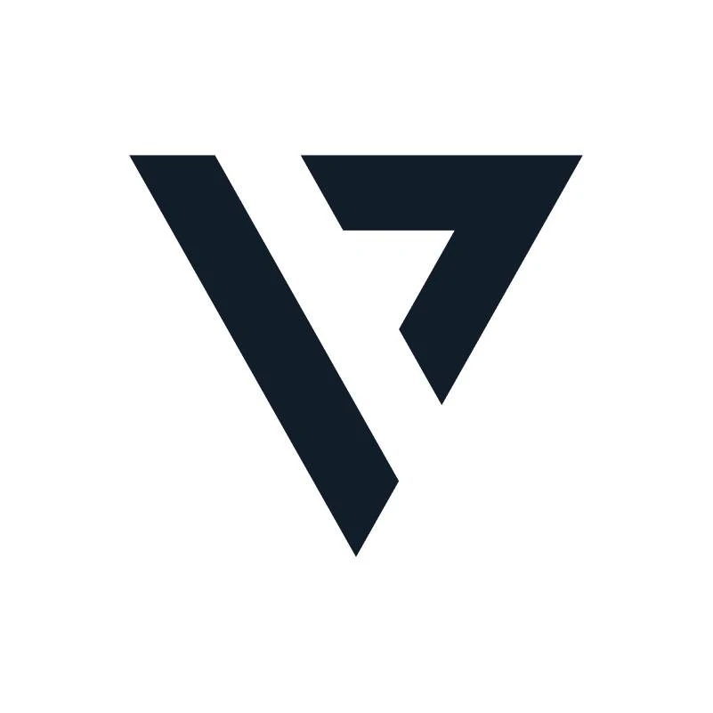 Vyzer