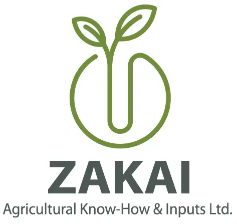 Zakai