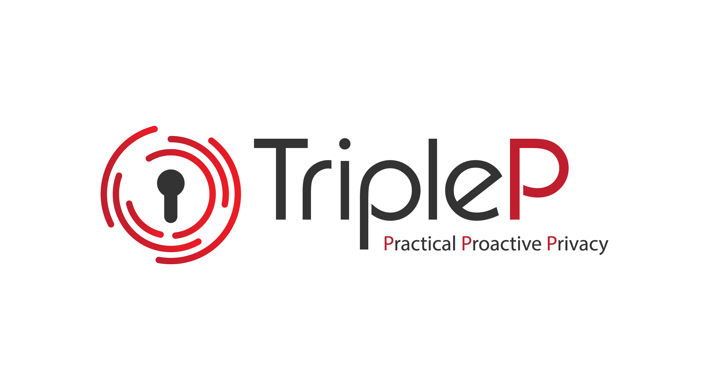 TripleP Cyber Security Experts