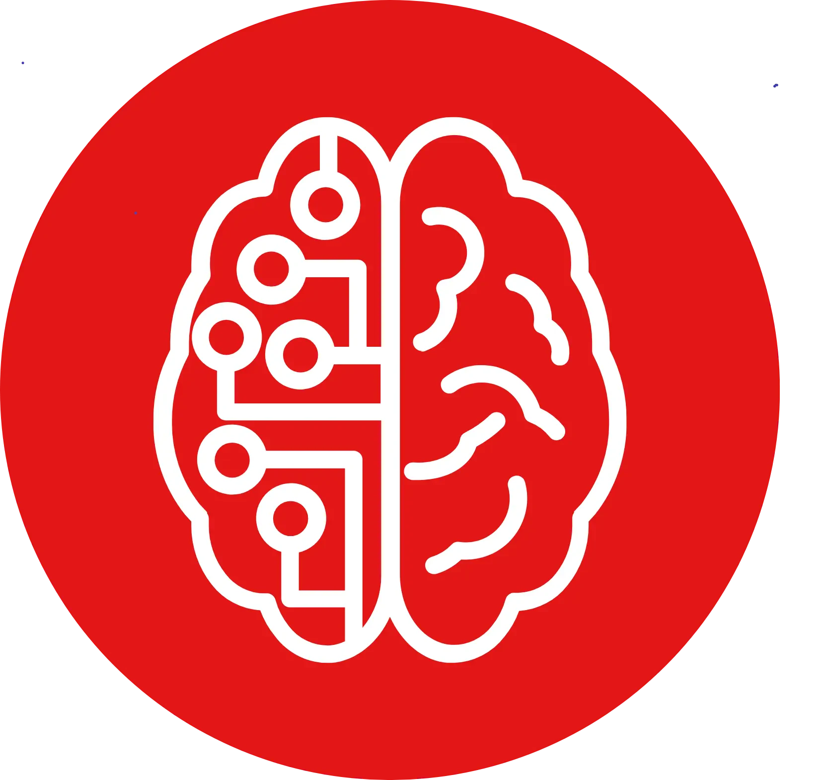 Brain1