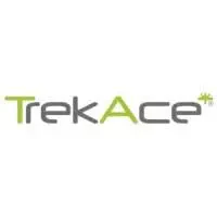 TrekAce Technologies