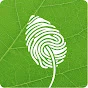 Phenome Networks