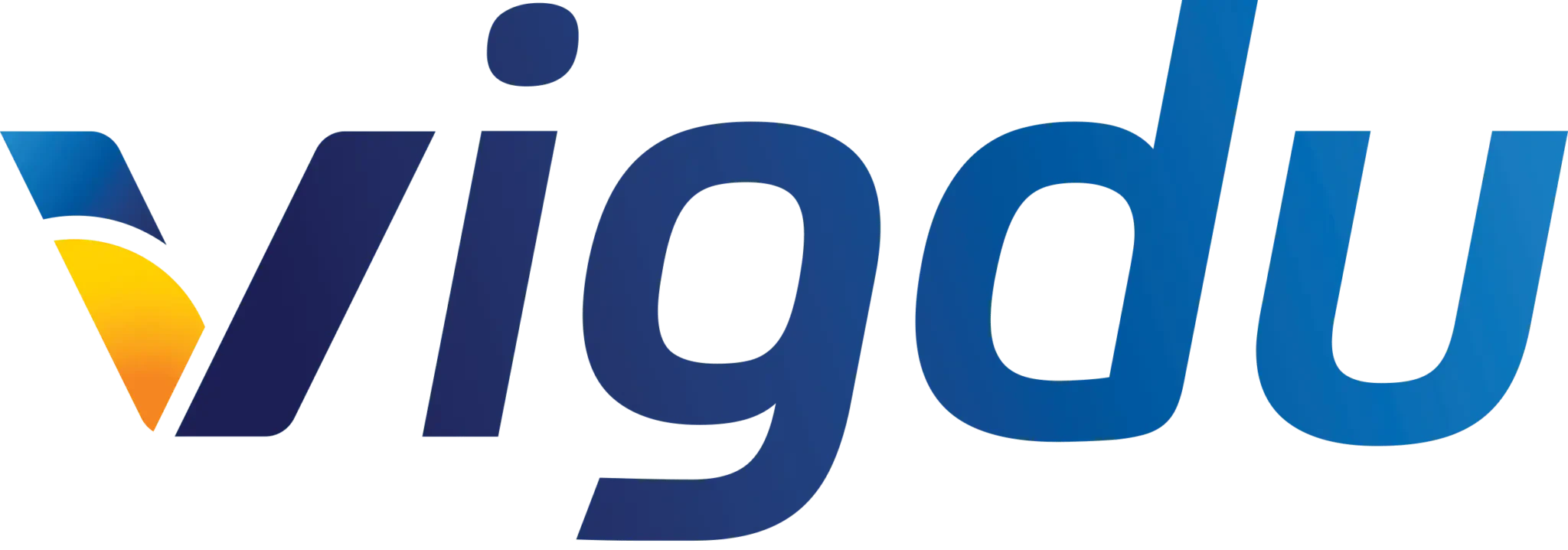 Vigdu Technologies