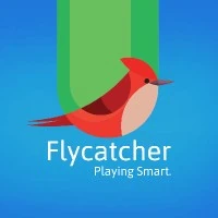 Flycatcher Toys