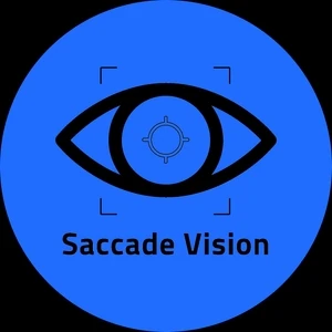 Saccade Vision