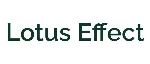 Lotus Effect