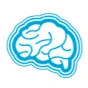 Excellent Brain