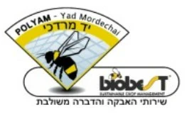 Polyam