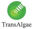 TransAlgae