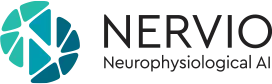 Nervio