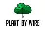 Plant By Wire