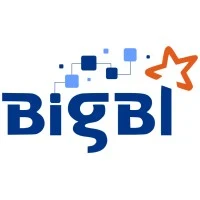 BigBI Software