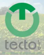 Tecto